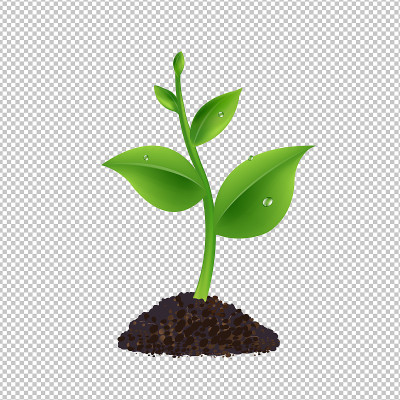 Green Sprout With Transparent Background