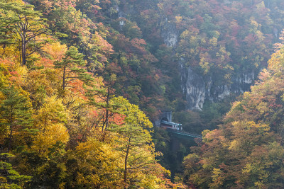 秋鸣子峡谷的陆洼线