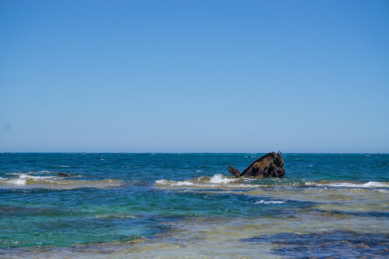 罗特内斯特岛周围美丽的海洋是最受欢迎的旅游景点