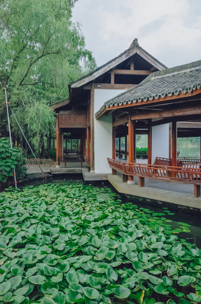 中国传统的荷叶水亭，在西湖，中国杭州
