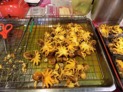 章鱼出售
