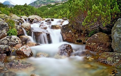 在高塔特拉斯的斯柯克瀑布附近一条有岩石和矮松的山河的水。美丽的斯洛伐克