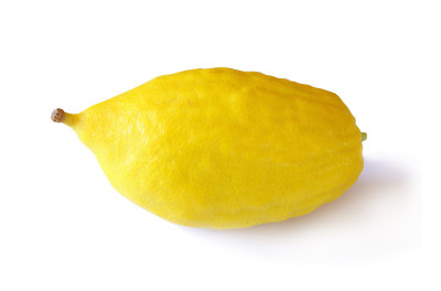 犹太人住棚节。Etrog(柠檬)传统符号(四种之一)。孤立在白色