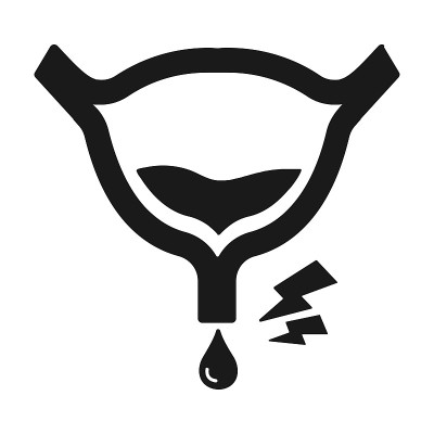 Bladder flat vector icon