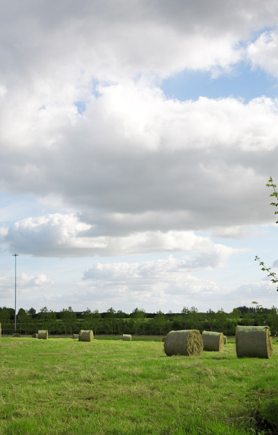 Haybales