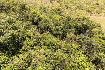 veadeiros的Chapada dos veadeiros