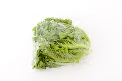 新鲜的绿叶生菜在塑料袋白色的背景