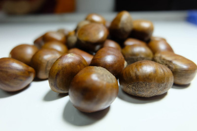 食物