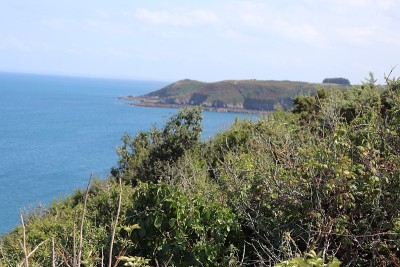 布列塔尼海岸- Anse de Beauport -在Paimpol市
