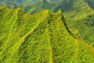 拉罗汤加库克群岛的空中景观