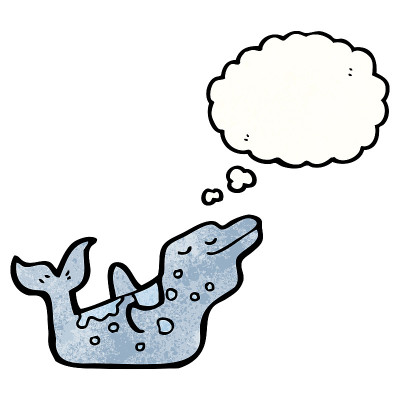 卡通海豚