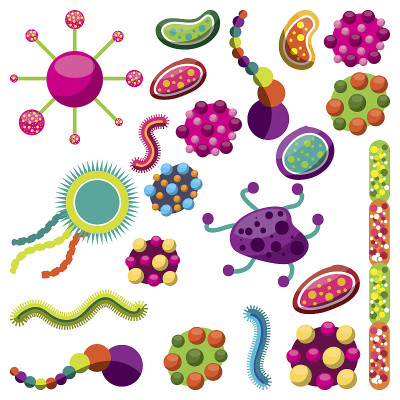 生物科学的设计