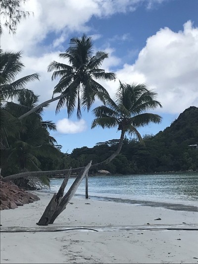 塞舌尔-普拉林-沃尔伯特湾