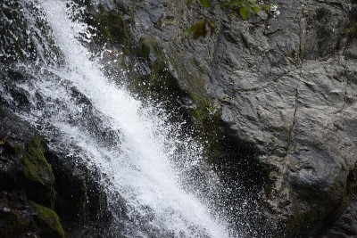 瀑布在森林