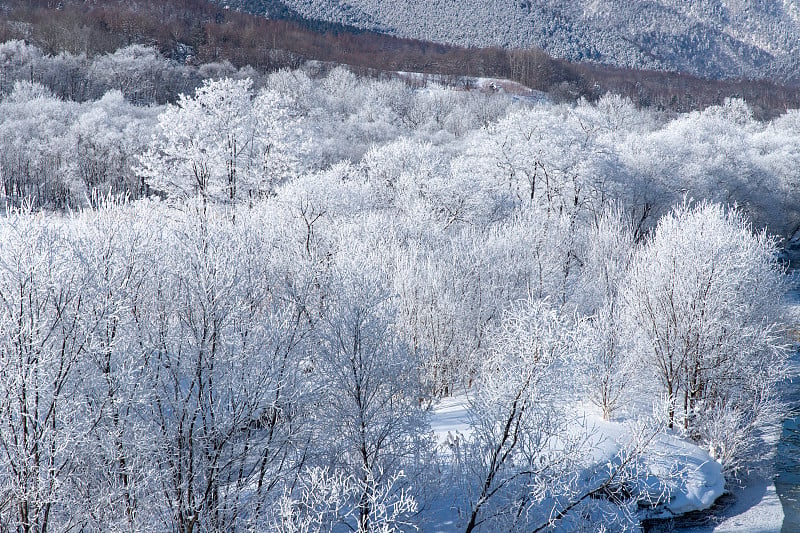 美丽的北海道冬季景色，富兰野雾凇。