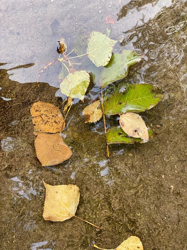 塞雷苏埃洛河流经西班牙哈恩卡索拉时的景色。