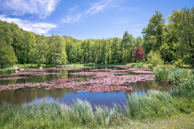 位于法国阿列日比利牛斯山的Erce pond