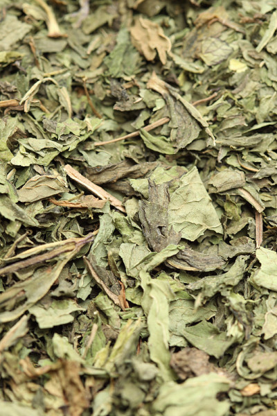 绿薄荷