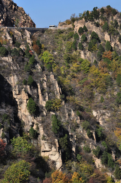 山