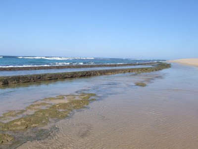 海滩孤独