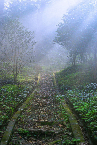 雾蒙蒙的道路