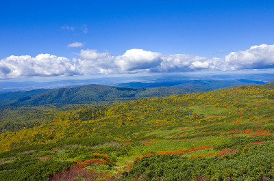 日本北海道朝霞山美丽的秋色。