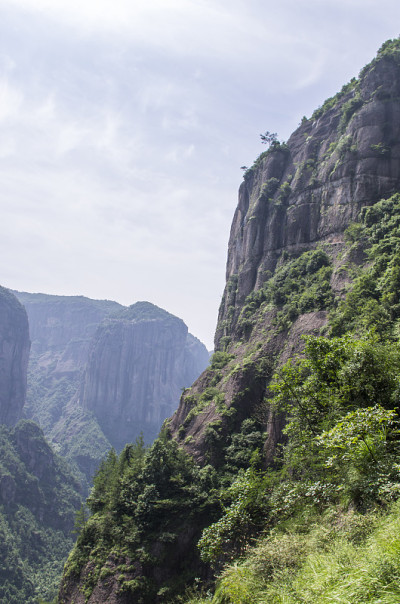 山