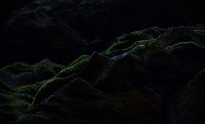 《暗黑森林》中岩石的细节