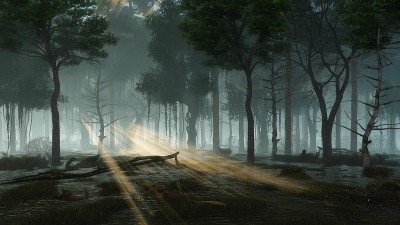 神秘的森林沼泽在薄雾的夜晚或黄昏3D