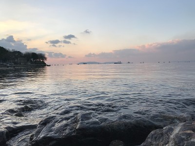 景观