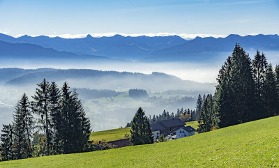 Fall in the Bregenz wald, Vorarlberg Austria