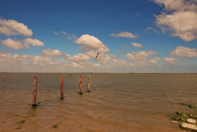 拉古纳马德雷，德州海湾海岸