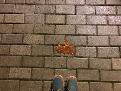 秋天的落叶落在装饰用的灰色混凝土砖上。鞋子的一部分。特写镜头