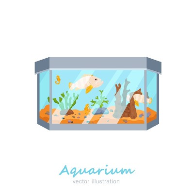 向量水族馆形象