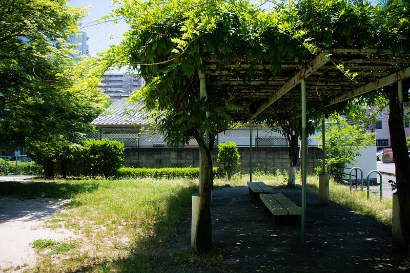 郊野公园和石凳