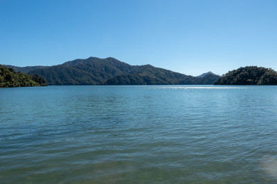 新西兰马尔伯勒之声美丽的本土风景
