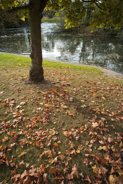 雅芳河