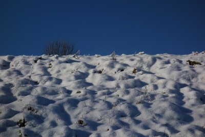冬天的白雪