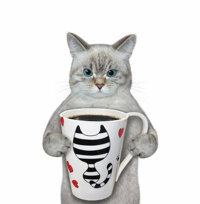 Cat ashen喝黑咖啡