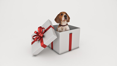 狗狗生日派对，3d渲染