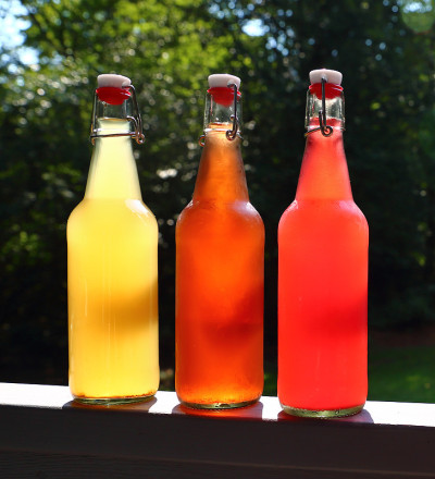 Three bottles of Home-brewed Kombucha