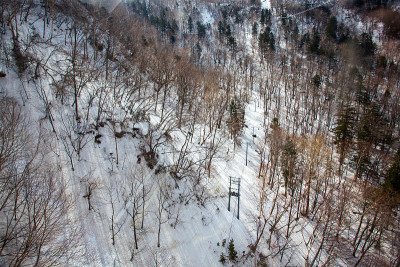 大屿山国家公园，美丽的山和森林在日本(山黑田山，Sounkyo)的松树与雪的阴影抽象背景。