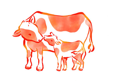 牛父母和孩子插图
