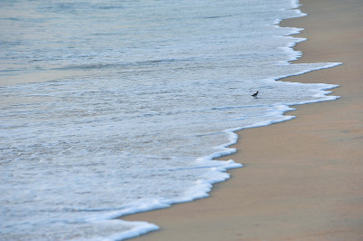 海滨