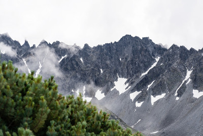 矮小的雪松和高耸的山崖景观