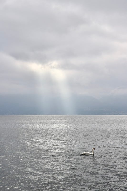 天鹅湖