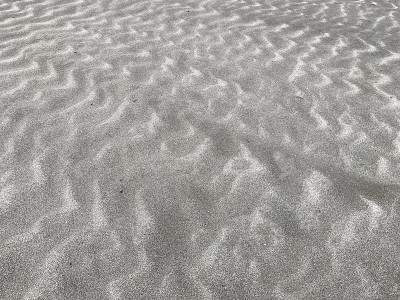 自然沙质格局