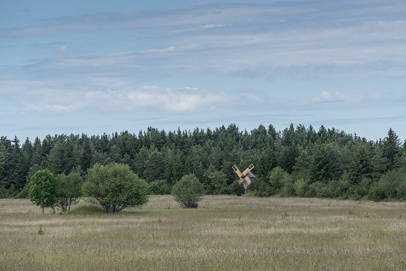 谷物碾磨在夏日的风景上。风车和自然背景图案。Hiiumaa，爱沙尼亚的小岛。欧洲