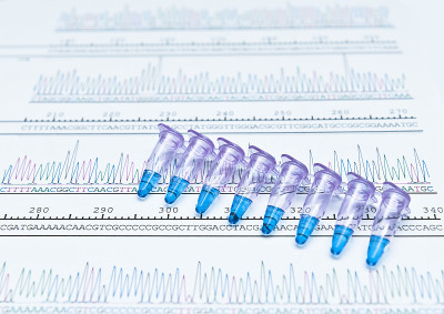 PCR DNA序列分析色谱峰