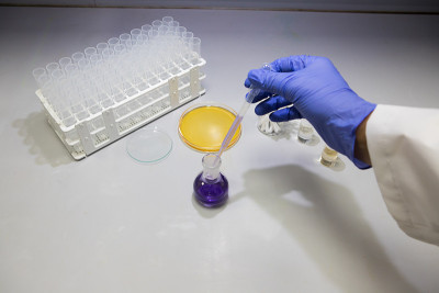 实验室中在平板上分析细菌样本的微生物学家。在生物实验室工作的科学家